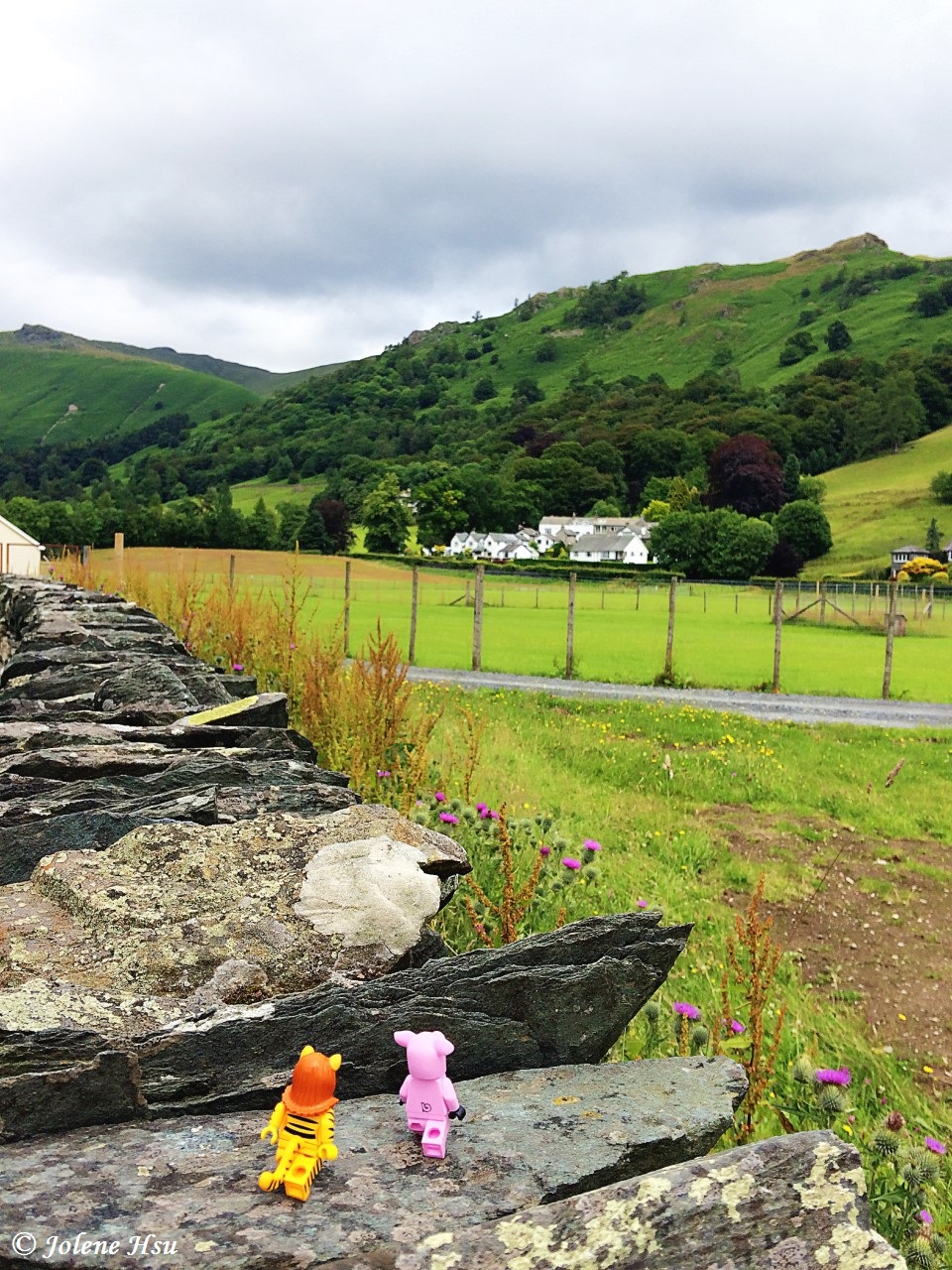 thumbnail_image1 (1) v3